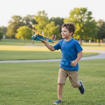 Avion télécommandé 